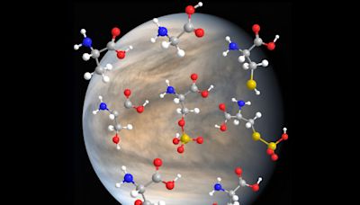 20 種胺基酸能耐金星硫酸成分，某些生命可能在金星雲層活得很好