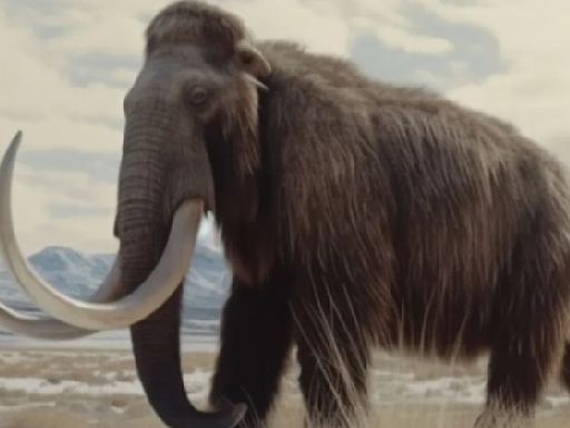 Mammoth graveyard in Siberia suggests humans interacted with them for hundreds of years