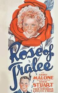 Rose Of Tralee