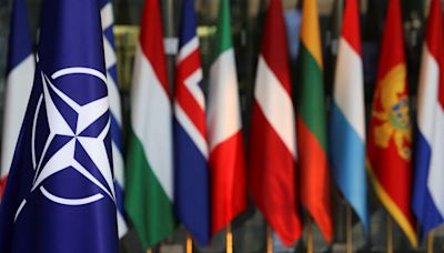 Survey reveals NATO members don't agree with 'popular opinion' amid geopolitical tensions