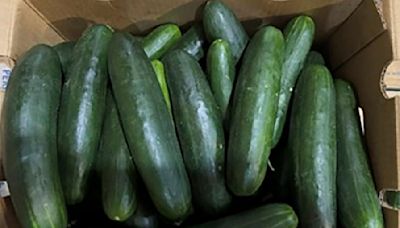 Companies Sued Over Cucumbers Linked to Salmonella Outbreak