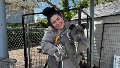 Finding an apartment may be easier for California pet owners under new legislation