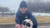 Coast Guard Rescues Spotty Dog from Icy Detroit River: 'Pretty Grateful'