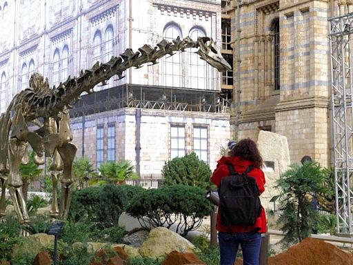 Fern the dinosaur takes centre stage at London Natural History Museum's newly revamped gardens