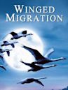 Winged Migration