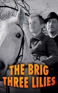 The Brig Three Lilies