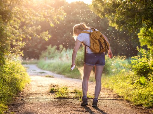 20 Common Pictures of Bug Bites and How to Identify Their Symptoms