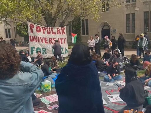 Princeton University students launch hunger strike as pro-Palestinian encampment continues