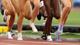 Transgender athletes: Majority of elite female athletes support categorisation by biological sex, new research finds