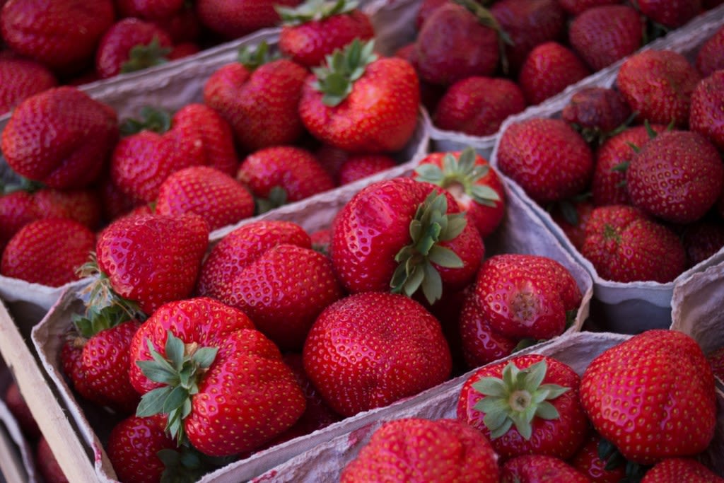One thousand strawberries was a dream. 45 years later, it came true.