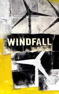 Windfall (2010 film)
