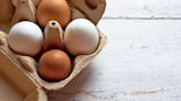 蛋價創2年新低！蛋農不滿釀北上抗議 農業部長籲：消費端適度降價