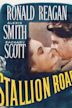 Stallion Road