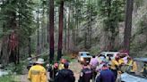 Missing man found in NorCal forest after nine days