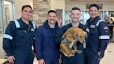 Rescatan a perrita atrapada por más de una semana en un contenedor en un puerto de Texas