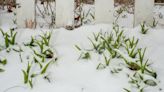 Heavy snow Sunday evening, warnings continue Monday in northern Minnesota