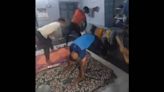 TDP vs YSRCP: Political clash erupts in Andhra Pradesh over viral video of student assault