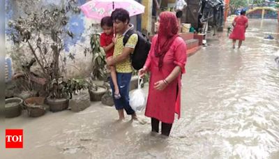 Draft MPD 2041 Fails To Fully Address Recurring Flooding | Delhi News - Times of India