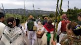 El Taller de danzas de Banyeres vuelve a realizar la Romería a Sant Antoni de Bocairent