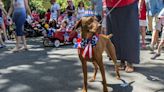 Do fireworks freak out your pets? Sacramento experts have advice to ease their anxiety