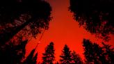 California declaró el estado de emergencia por los devastadores incendios forestales