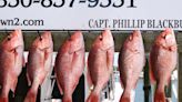 Fishing Report: Atlantic's two-day red snapper "season" is approaching, so buckle up