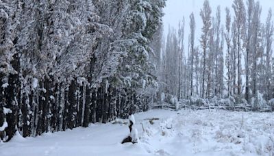 Ola polar: en qué provincias seguirá nevando este viernes