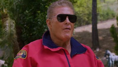 David Hasselhoff surprise face of new green gaming initiative