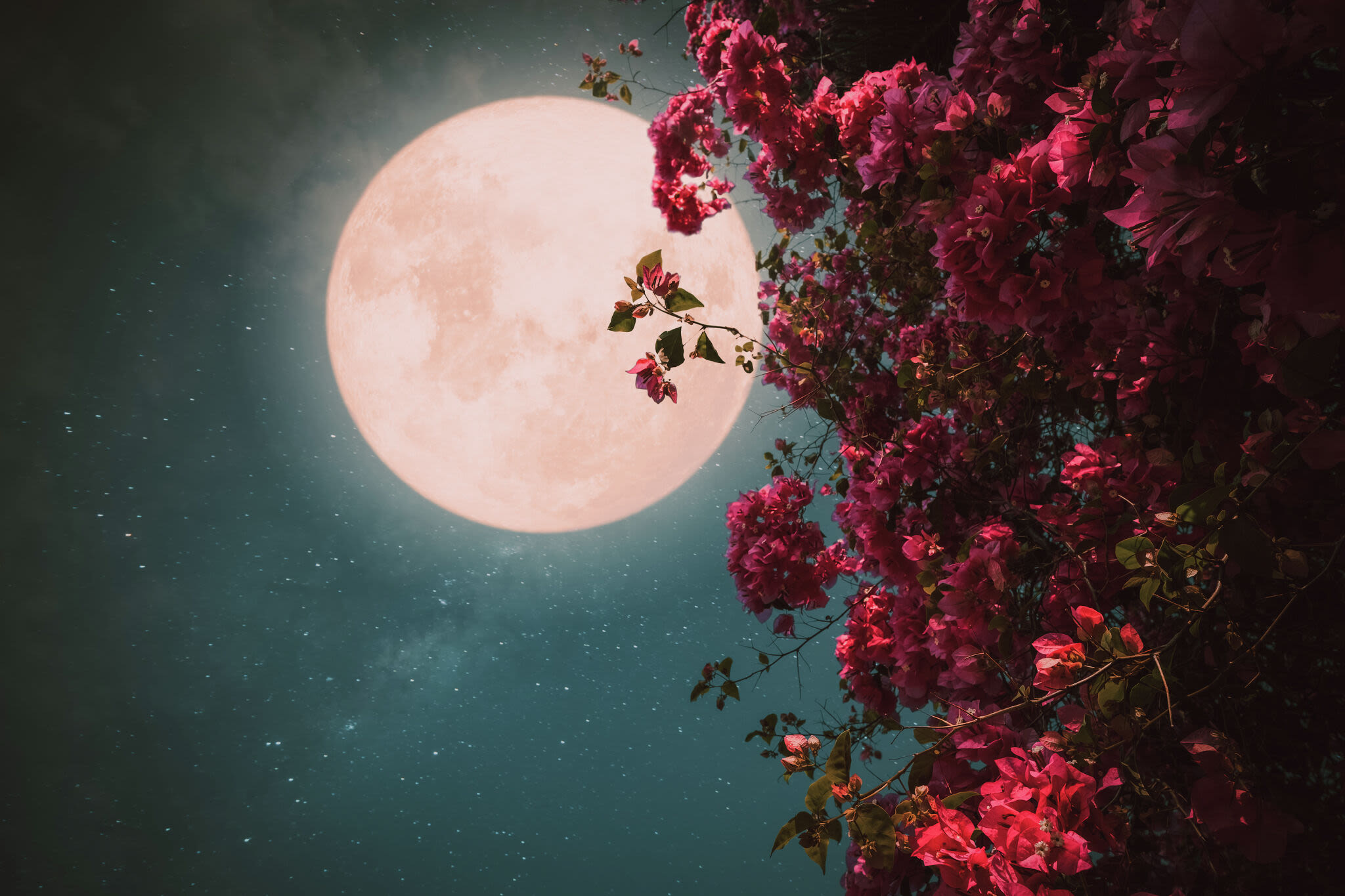 May's 'flower moon' to peak this week in full illumination