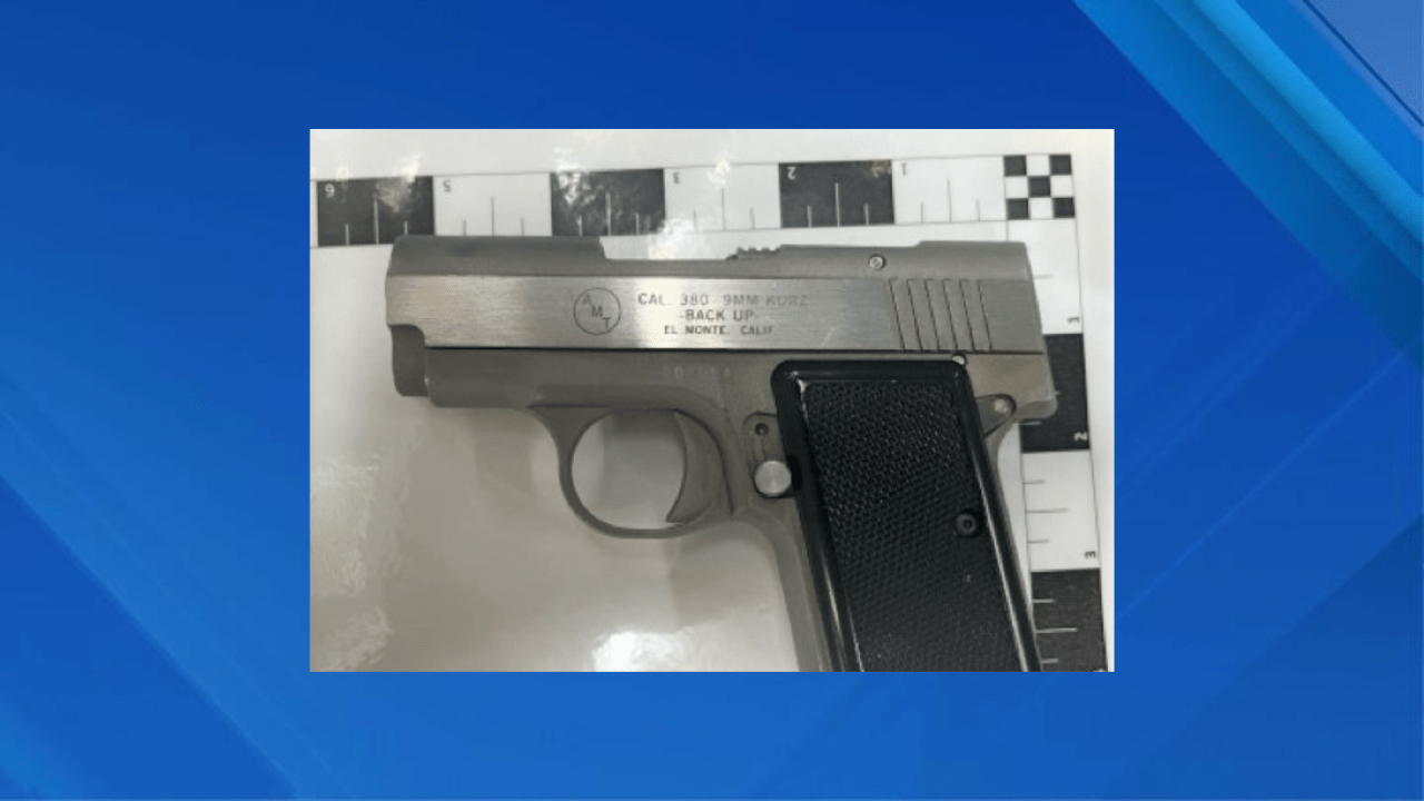 NY man traveling to France arrested at Newark Airport for carrying gun: TSA