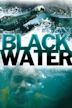 Black Water