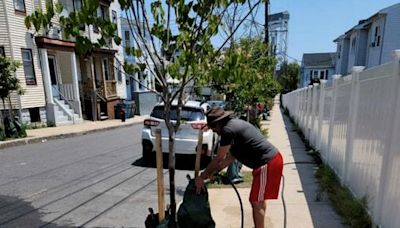 From saplings, to shade structures, to white paint: How communities along the Mystic River try to beat the heat - The Boston Globe