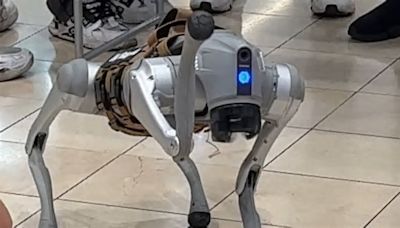 Why is a Visalia man taking his robot dog on walks around the Central Valley?