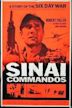 Sinai Commandos: The Story of the Six Day War