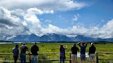 Grizzly bear attack at Grand Teton National Park leaves man seriously injured