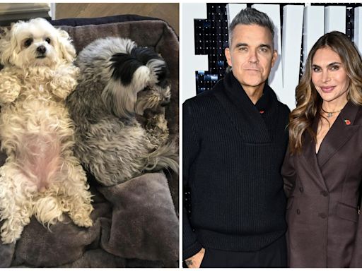 Robbie Williams and Ayda Field devastated as their two dogs die on same night