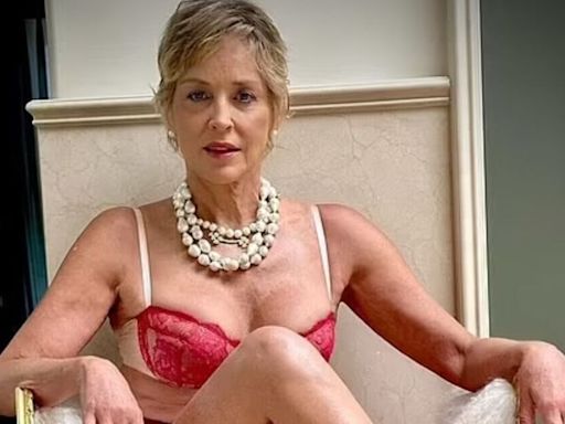 Sharon Stone recreates steamy Basic Instinct scene in racy lingerie