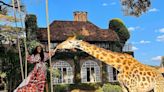 Visit These Top Luxury Destinations in Africa