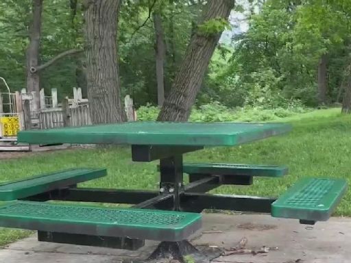Ann Arbor moves forward with $19 million plan to make parks more accessible