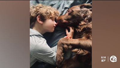 Eight-year-old Southgate boy's lemonade stand to help dogs and cats in area shelters