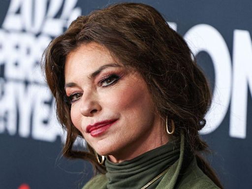 Shania Twain Debuts New Look and Pink Hair