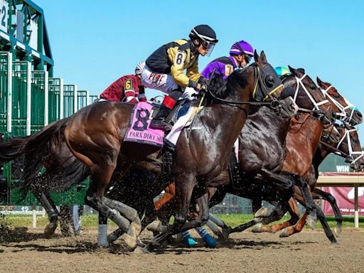 Belmont Stakes 2024 predictions, top picks, current odds, horses, time: Best bets by expert who hit the Derby