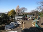 Nogeyama Zoo