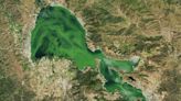 Lake’s bright green hue shows up on satellite photos of California