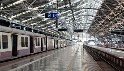 Hunting dead rodents at Chhatrapati Shivaji Maharaj Terminus, Central Railway uses ultramodern borescope cameras