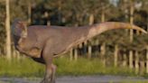 Descubren especie de dinosaurio que vivió hace 69 millones de años en Suramérica