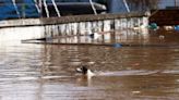 Death toll from heavy rains in Brazil rises to 100