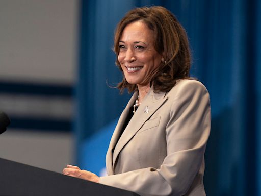 Kamala Harris Holds Emergency Call With Dem Donors