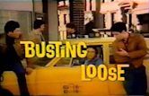 Busting Loose (TV series)