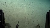 Scientists find mysterious ‘perfectly aligned’ holes on Atlantic ocean floor that look human-made